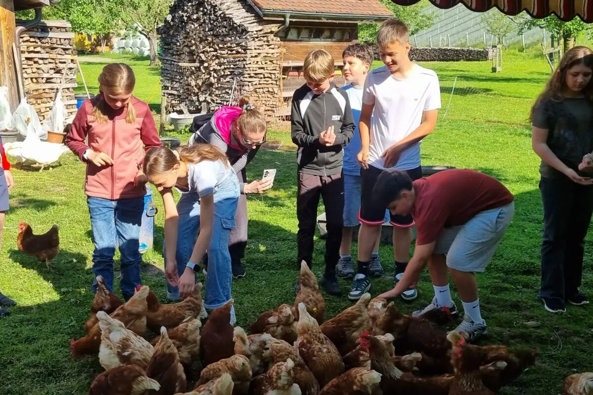 Projektwoche – „fit und gsund“